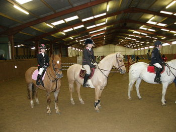 Gracelands Equestrian Centre
